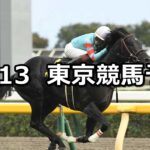 【オクトーバーステークス】2024/10/13(日) 中央競馬 穴馬予想(東京競馬)