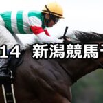 【信越ステークス】2024/10/14(月) 中央競馬 穴馬予想(新潟競馬)