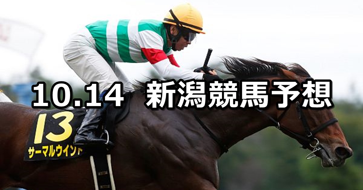 【信越ステークス】2024/10/14(月) 中央競馬 穴馬予想（新潟競馬）