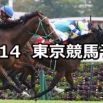 【府中牝馬ステークス】2024/10/14(月) 中央競馬 穴馬予想(東京競馬)