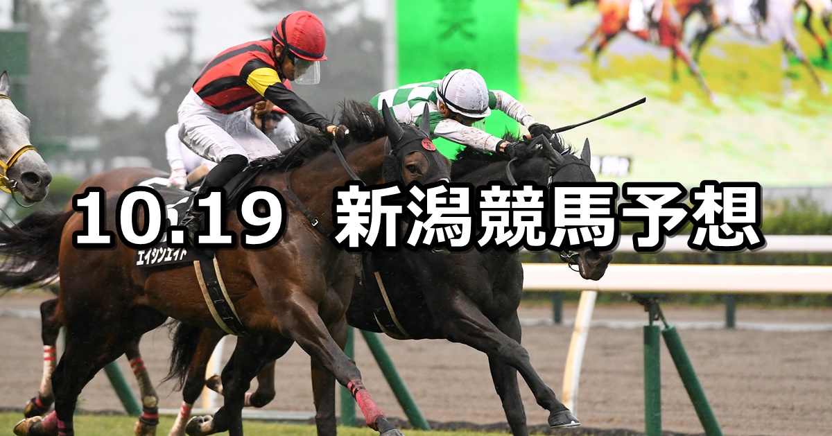 【北陸ステークス】2024/10/19(土) 中央競馬 穴馬予想（新潟競馬）