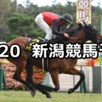 【新潟牝馬ステークス】2024/10/20(日) 中央競馬 穴馬予想(新潟競馬)