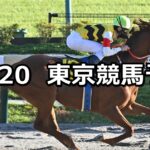 【ブラジルカップ】2024/10/20(日) 中央競馬 穴馬予想(東京競馬)