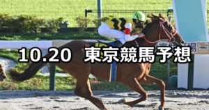 【ブラジルカップ】2024/10/20(日) 中央競馬 穴馬予想（東京競馬）