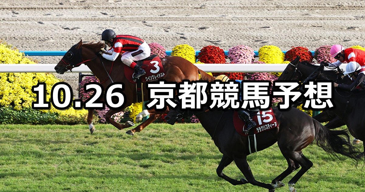 【スワンステークス】2024/10/26(土) 中央競馬 穴馬予想（京都競馬）