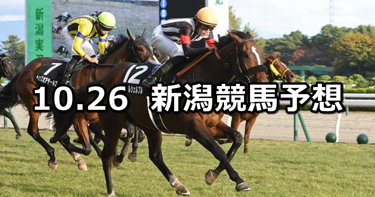 【魚沼ステークス】2024/10/26(土) 中央競馬 穴馬予想（新潟競馬）