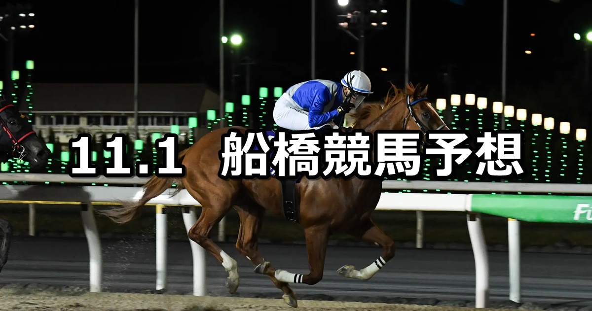 【菊花特別】2024/11/1(金)地方競馬 穴馬予想（船橋競馬）