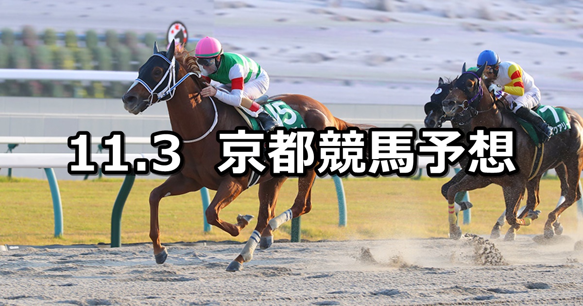 【みやこステークス】2024/11/3(日) 中央競馬 穴馬予想（京都競馬）