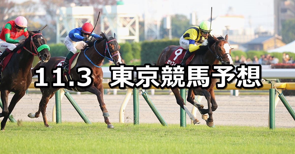 【アルゼンチン共和国杯】2024/11/3(日) 中央競馬 穴馬予想（東京競馬）