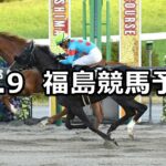 【奥羽ステークス】2024/11/9(土) 中央競馬 穴馬予想(福島競馬)