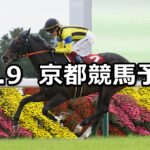 【デイリー杯2歳ステークス】2024/11/9(土) 中央競馬 穴馬予想(京都競馬)