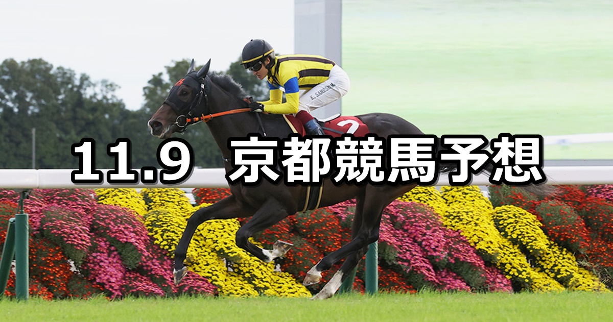 【デイリー杯2歳ステークス】2024/11/9(土) 中央競馬 穴馬予想（京都競馬）