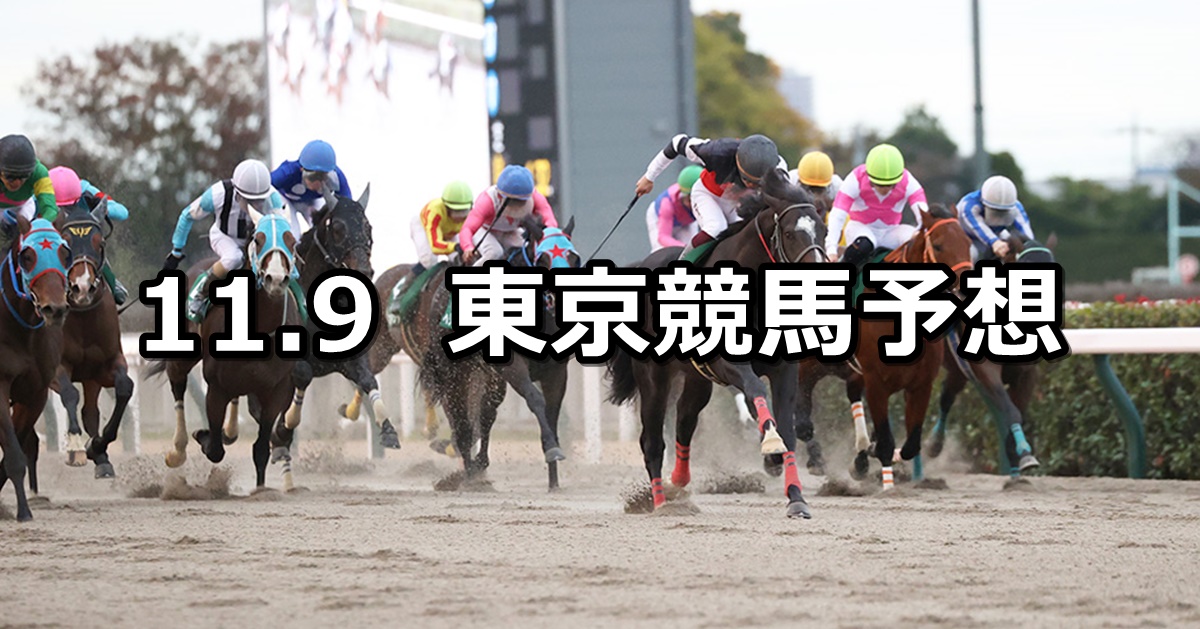 【武蔵野ステークス】2024/11/9(土) 中央競馬 穴馬予想（東京競馬）