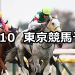 【オーロカップ】2024/11/10(日) 中央競馬 穴馬予想（東京競馬）