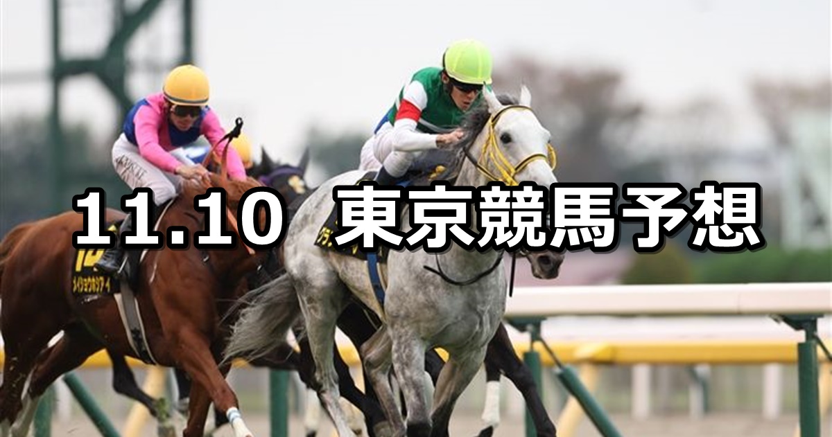 【オーロカップ】2024/11/10(日) 中央競馬 穴馬予想（東京競馬）