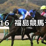【キビタキステークス】2024/11/16(土) 中央競馬 穴馬予想(福島競馬)