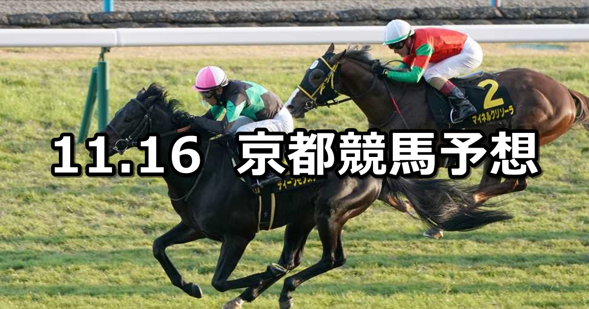 【アンドロメダステークス】2024/11/16(土) 中央競馬 穴馬予想（京都競馬）