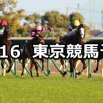 【東京スポーツ杯2歳ステークス】2024/11/16(土) 中央競馬 穴馬予想(東京競馬)
