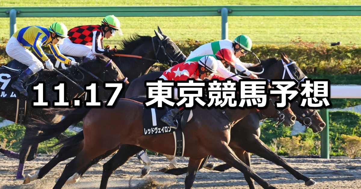 【霜月ステークス】2024/11/17(日) 中央競馬 穴馬予想（東京競馬）