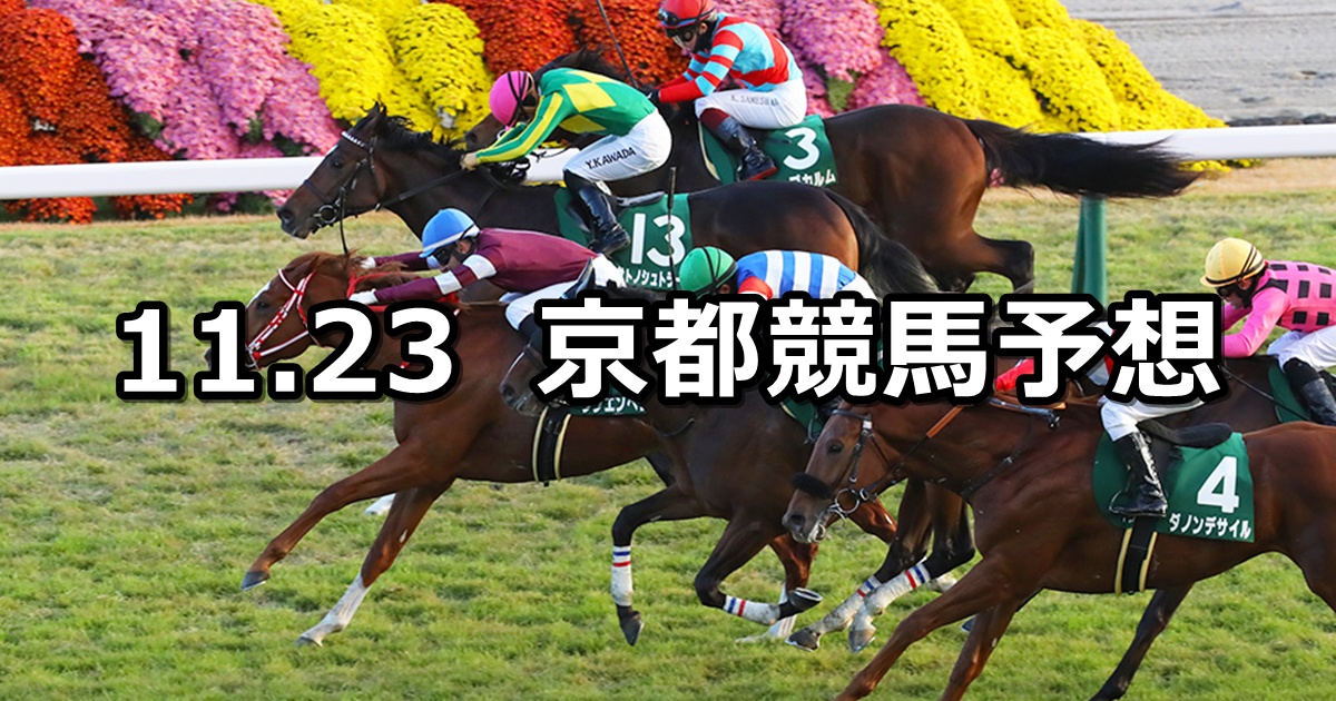 【京都2歳ステークス】2024/11/23(土) 中央競馬 穴馬予想（京都競馬）