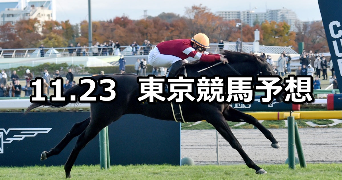 【キャピタルステークス】2024/11/23(土) 中央競馬 穴馬予想（東京競馬）