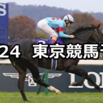 【ジャパンカップ】2024/11/24(日) 中央競馬 穴馬予想（東京競馬）