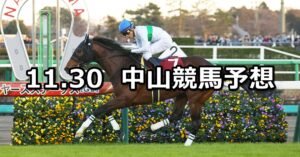 【ステイヤーズステークス】2024/11/30(土) 中央競馬 穴馬予想(中山競馬)