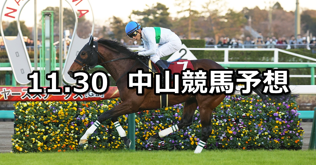 【ステイヤーズステークス】2024/11/30(土) 中央競馬 穴馬予想（中山競馬）