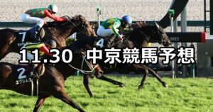 【飛騨ステークス】2024/11/30(土) 中央競馬 穴馬予想(中京競馬)