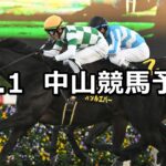 【ラピスラズリステークス】2024/12/1(日) 中央競馬 穴馬予想(中山競馬)