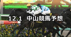 【ラピスラズリステークス】2024/12/1(日) 中央競馬 穴馬予想（中山競馬）