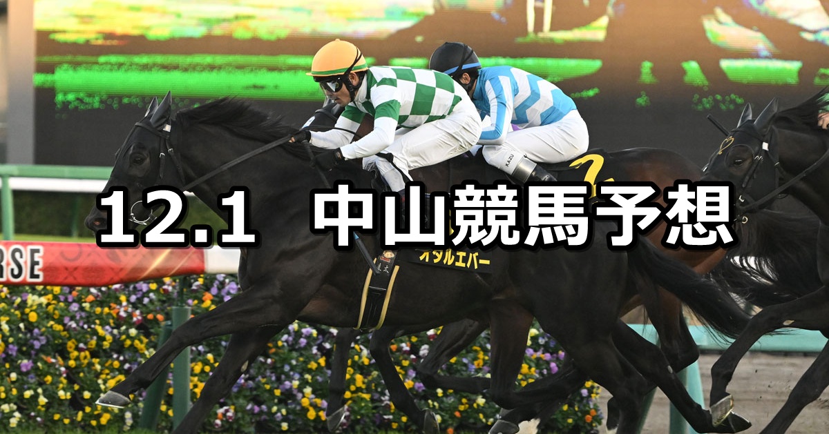 【ラピスラズリステークス】2024/12/1(日) 中央競馬 穴馬予想（中山競馬）