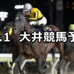 【東京シンデレラマイルトライアル】2024/12/1(日)地方競馬 穴馬予想(大井競馬)