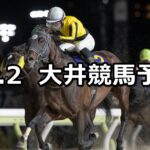 【ノースウインド賞】2024/12/2(月)地方競馬 穴馬予想(大井競馬)