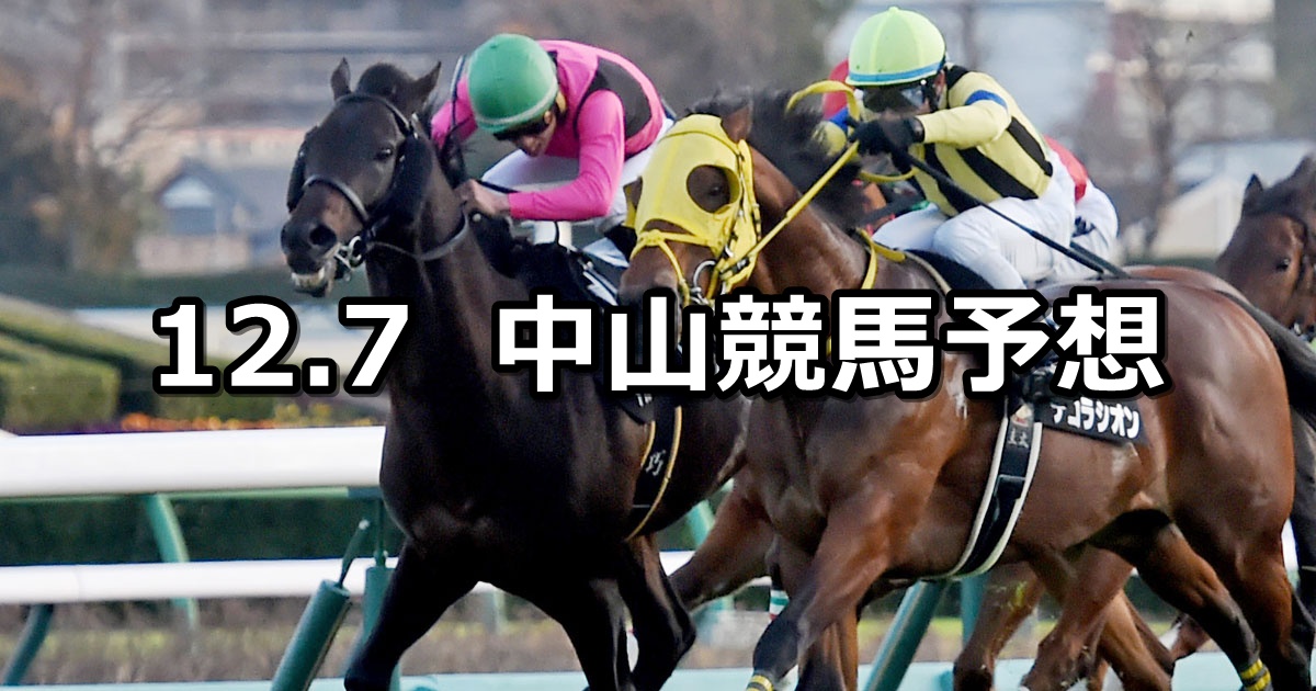 【常総ステークス】2024/12/7(土) 中央競馬 穴馬予想（中山競馬）