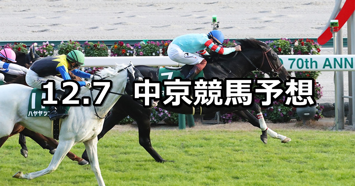 【中日新聞杯】2024/12/7(土) 中央競馬 穴馬予想（中京競馬）