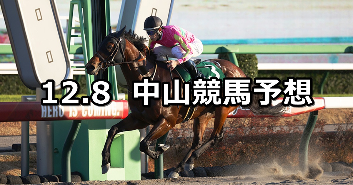 【カペラステークス】2024/12/8(日) 中央競馬 穴馬予想（中山競馬）