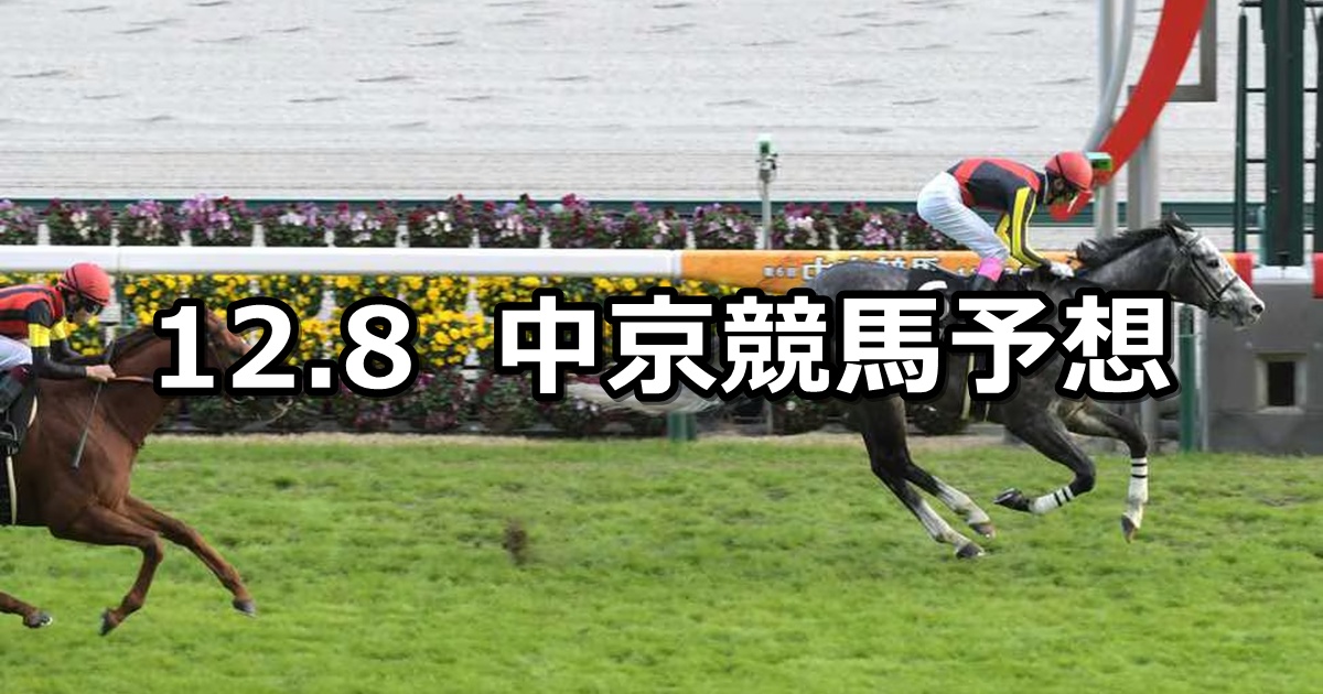 【知立ステークス】2024/12/8(日) 中央競馬 穴馬予想（中京競馬）