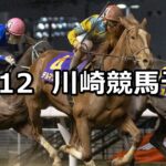 【シャイニングドリーム賞】2024/12/12(木)地方競馬 穴馬予想(川崎競馬)