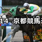 【タンザナイトステークス】2024/12/14(土) 中央競馬 穴馬予想(京都競馬)