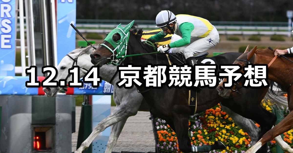 【タンザナイトステークス】2024/12/14(土) 中央競馬 穴馬予想（京都競馬）