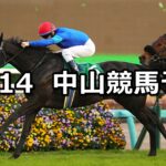 【ターコイズステークス】2024/12/14(土) 中央競馬 穴馬予想(中山競馬)