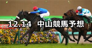 【ターコイズステークス】2024/12/14(土) 中央競馬 穴馬予想（中山競馬）