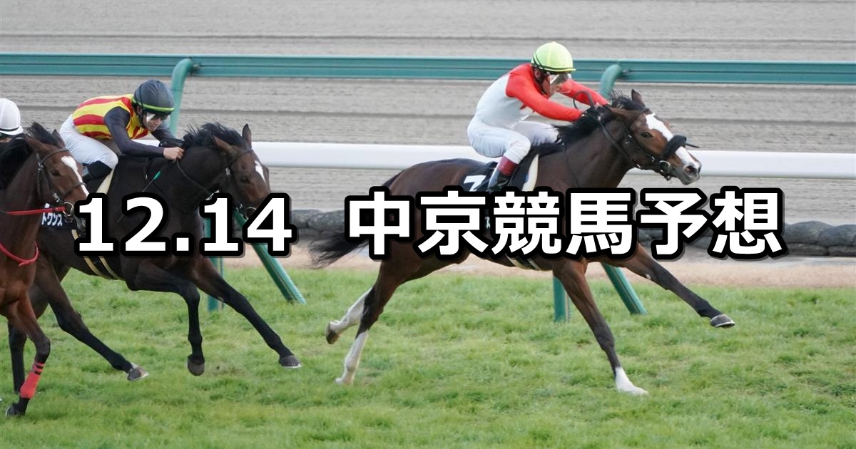 【尾頭橋ステークス】2024/12/14(土) 中央競馬 穴馬予想（中京競馬）