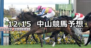 【ディセンバーステークス】2024/12/15(日) 中央競馬 穴馬予想(中山競馬)