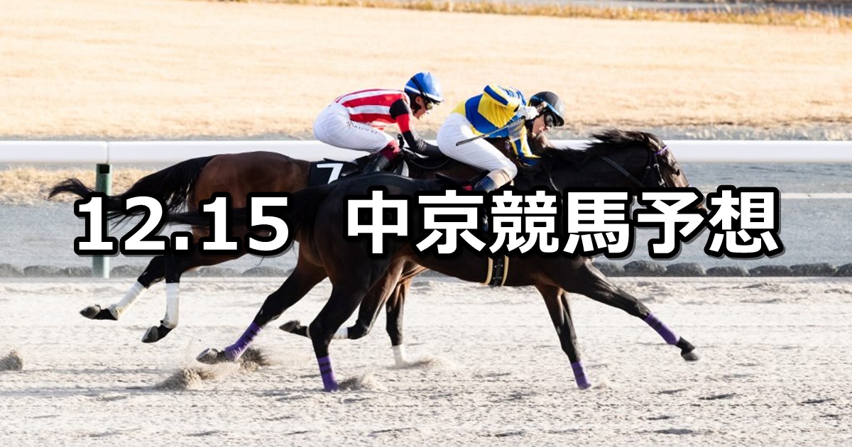 【コールドムーンステークス】2024/12/15(日) 中央競馬 穴馬予想（中京競馬）