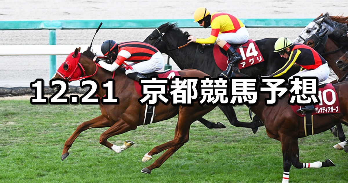 【阪神カップ】2024/12/21(土) 中央競馬 穴馬予想（京都競馬）