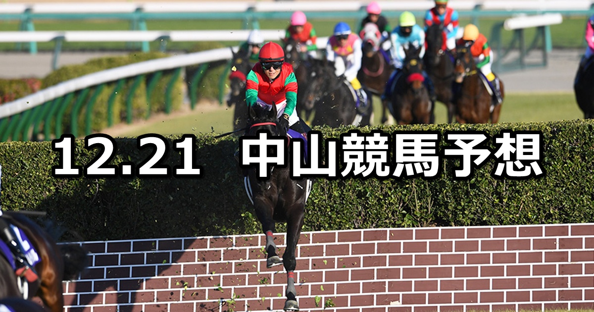 【中山大障害】2024/12/21(土) 中央競馬 穴馬予想（中山競馬）