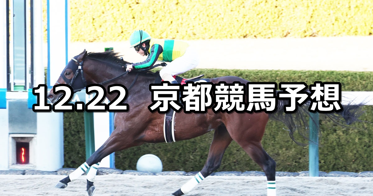 【りんくうステークス】2024/12/22(日) 中央競馬 穴馬予想（京都競馬）