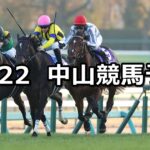 【有馬記念】2024/12/22(日) 中央競馬 穴馬予想(中山競馬)